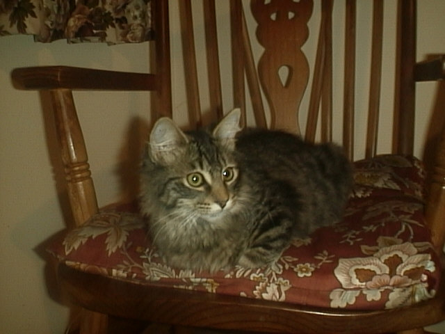 IM000000.jpg (59814 bytes)