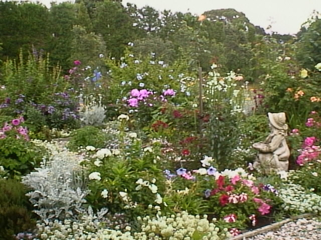 IM000021.jpg (112808 bytes)