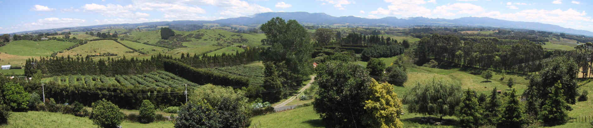 Orchard Pan.jpg (374084 bytes)