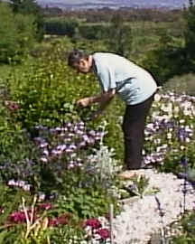 wpe3.jpg (11992 bytes)